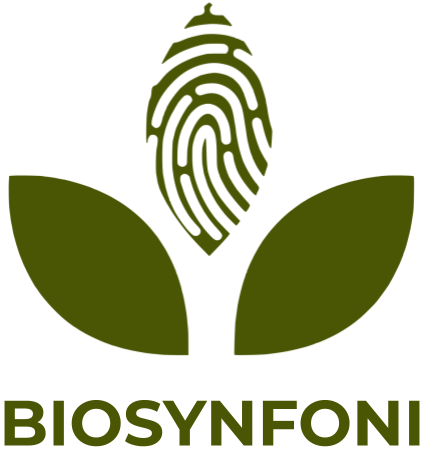 How Biosynfoni was born